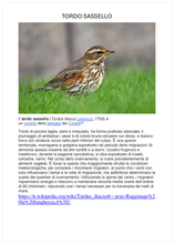 Lade das Bild in den Galerie-Viewer, Rotwein von Montalcino Poggiolo Sassello 2023